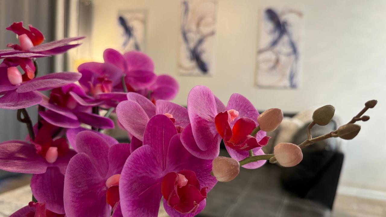 Greenlinks At Lely Luxury Purple Orchid Fully Renovated Modern 1St Floor 3Bdr Golf Resort Villa North North Naples 外观 照片